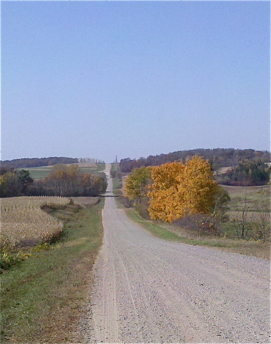 Autumnal Gravel Road