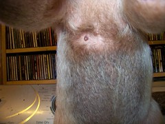 Pua's nipple with hair moved