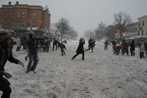 Snowball Mayhem