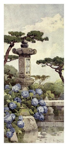 012-Un arbusto de hortensias-The flowers and gardens of Japan (1908)-  Ella Du Cane