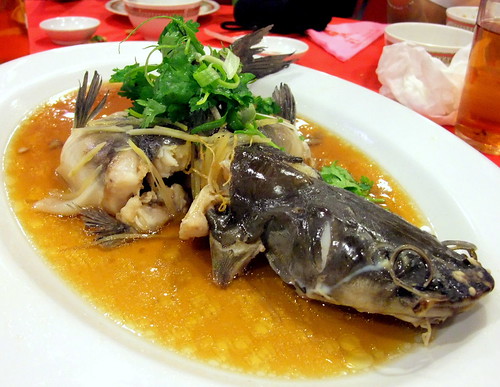 Steam Pak So Kung (A breed of catfish)