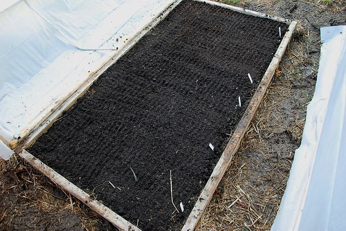 sowing seed mats 3