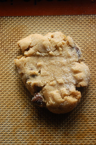 peanut butter chocolate chip cookie