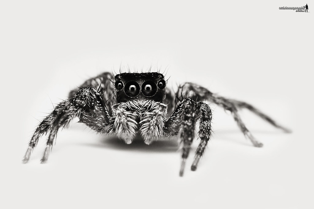 Jumper Portraiture | B&W (by Sir Mart Outdoorgraphy™)