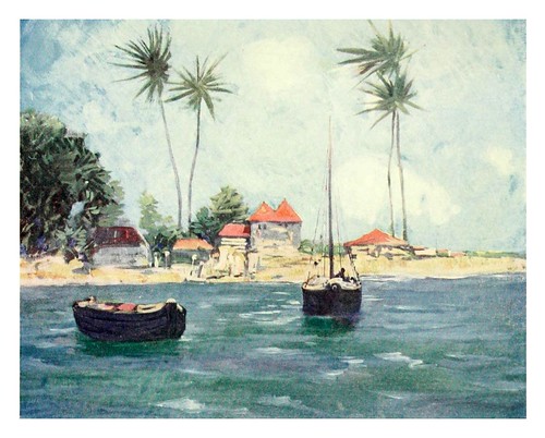006-Cocoteros-Falmouth Jamaica-The West Indies 1905- Ilustrations Archibald Stevenson Forrest
