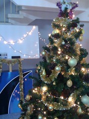 The East Agile Christmas Tree
