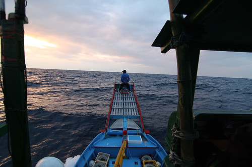 你拍攝的 100119搭龍漁發鏢船出海16.JPG。