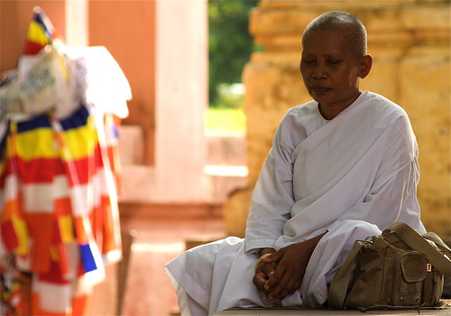 A Buddhist Nun Meditating At The Mahabodhi Temple