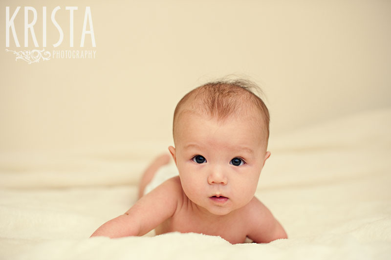3 Month Baby Portraits