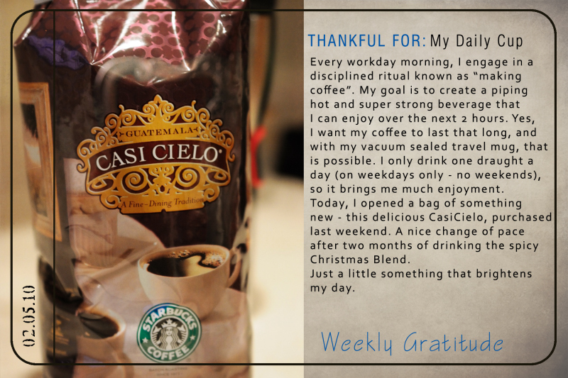Gratitude - My Daily Cup
