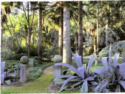 shady bold architectural planting - palms, agave americana (Natural Planting - Penelope Hobhouse)