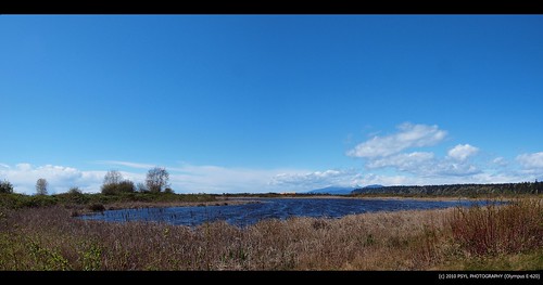 Panoramic View of the Iona Pond