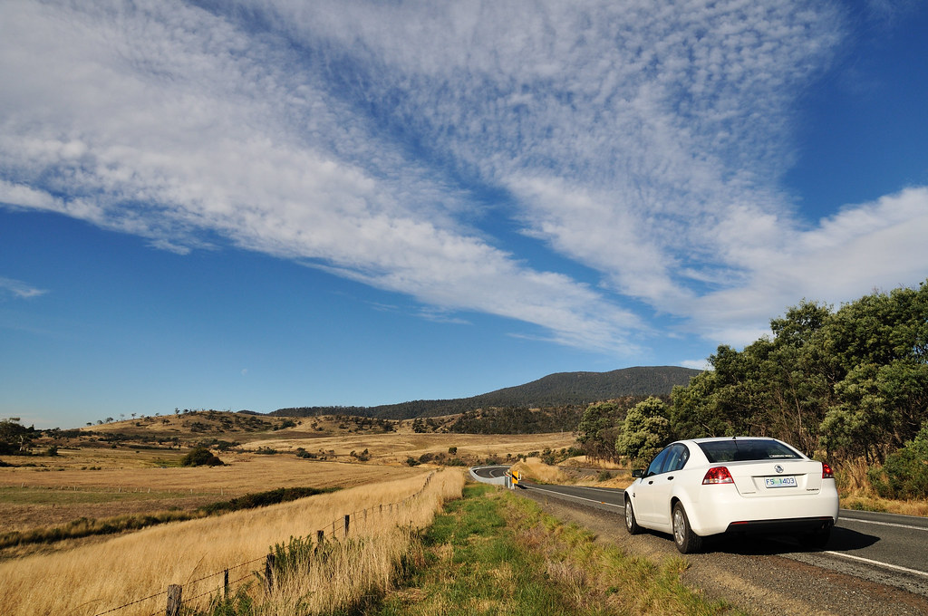 Blue sky & Grassland - Tasmania