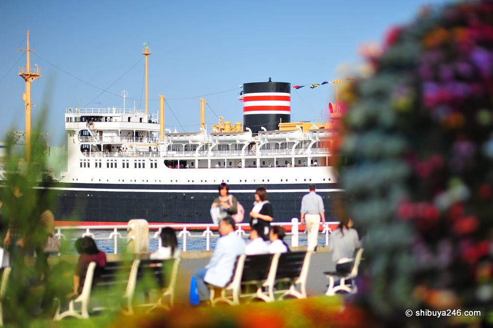 A peak of the boat behind the flowers. Just testing out some DOF here with the 85mm lens.