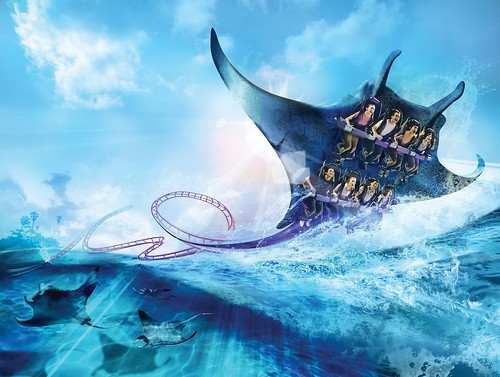 Manta-Seaworld-Roller-Coaster-776537