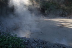 boiling mud