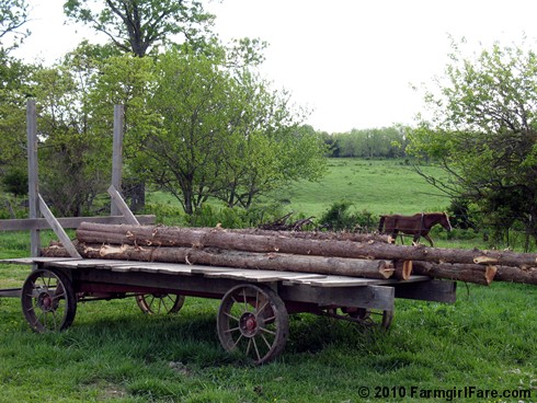 Amish Wagon