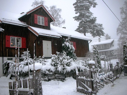 White Christmas in Oslo Norway #1