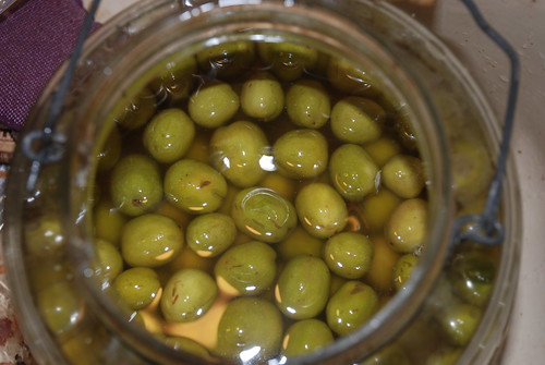 Curing Olives in Salt Brine