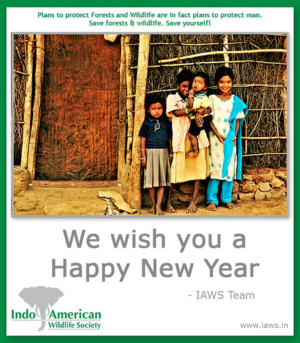 iaws-2010-new-year-wishes-1