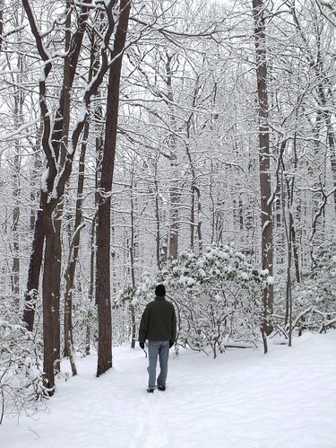Matt in the snowy forest