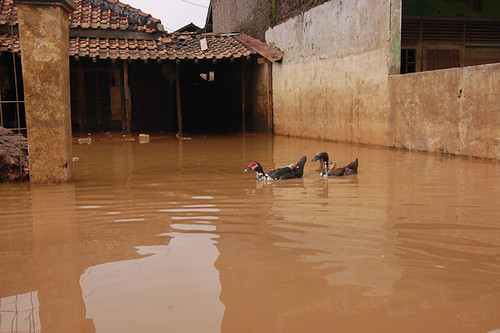 Baleendah-Dayeuhkolot flood has not subsided yet – ipadguides