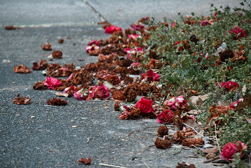 Near a damaged nuclear power plant? Then these dead flowers are about to rise again...