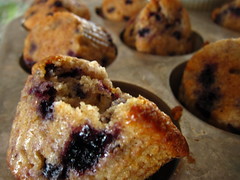 Blueberries and Cream Muffins