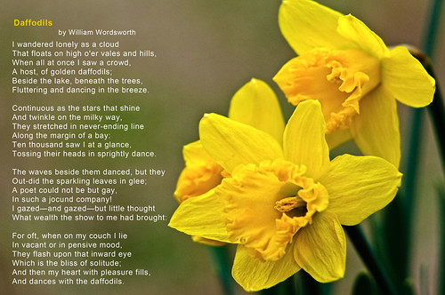 daffodils poem by william wordsworth. 2011 daffodils poem by william