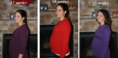 27-29 Weeks with Text