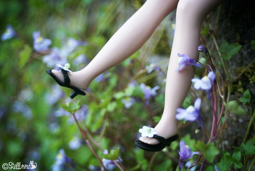 Flowered shoes