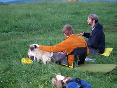 norman makes friends at max patch