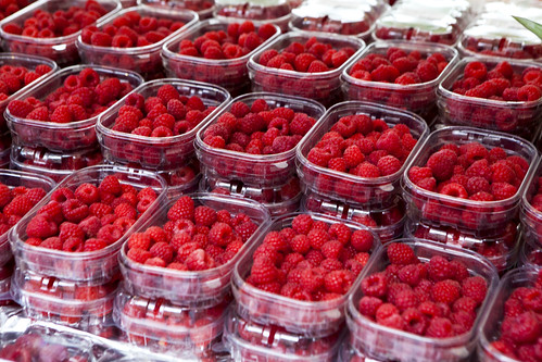 Scarlet red raspberries