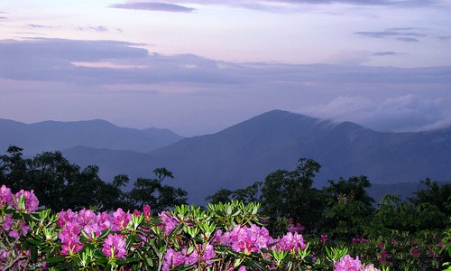 view from the Parkway at dusk, Craggy Gardens (by: BlueRidgeKitties, creative commons license)