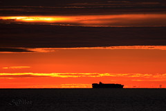 Container Ship Sagunto Dawn by S@ilor