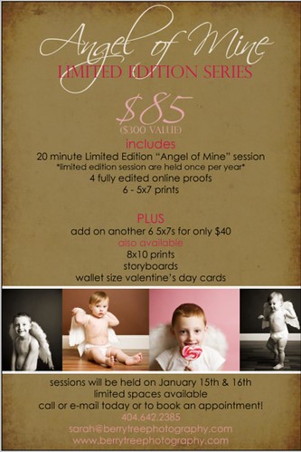 4250070540 233a02b357 Introducing "Angel of Mine" Limited Edition Mini Sessions!