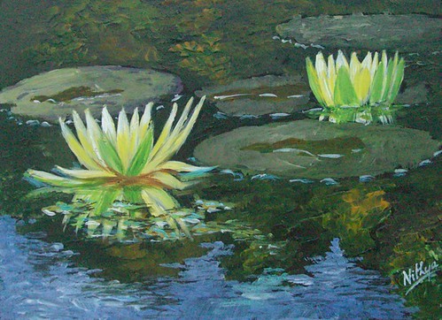 Waterlily #13