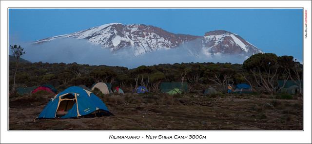 Kilimanjaro at sunrise