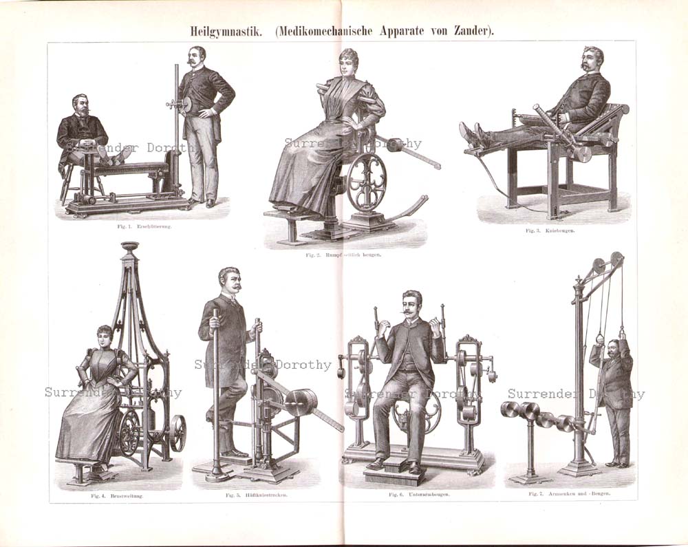 Атлеты, физкультура и первые тренажеры. 1850-1920