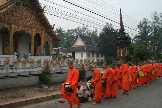 Monks receiving morning alms, Luang Prabang, Laos