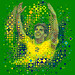 Kaká: Brazil 2010