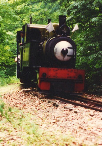 Hesston Steam Museum train steaming through the woods. Hesston In  June  1994.