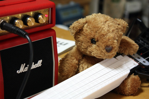 a bear and his guitar
