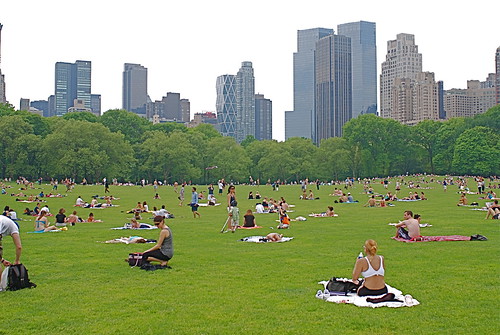 sunbathers in central park ny. Sunbathers in Sheep Meadow,