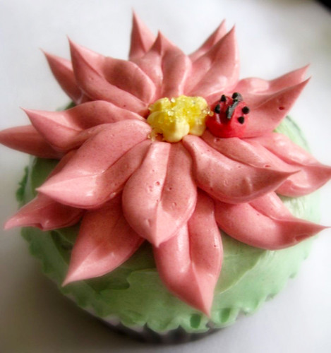 Red Flower Cupcake