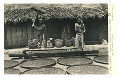 TONKIN - indigènes chargeant la presse à l'huile pour en extraire le ricin