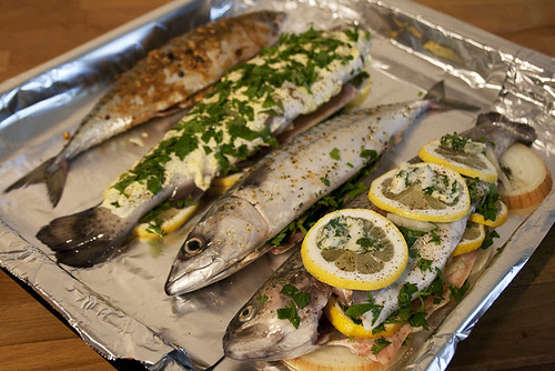 Fish, Prepped for Baking