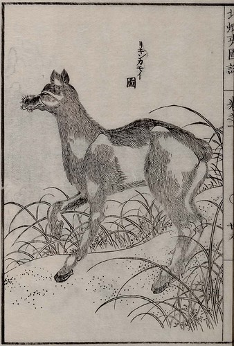 Mamiya Rinzo - Kita Ezo zusetsu vol. 1 (1855)