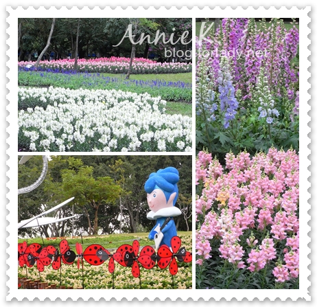 2010台北花卉展大安森林公園2