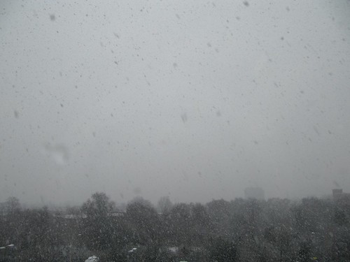 Snow falls through window 4271